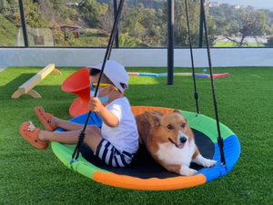 Soucoupe ronde de Patio <span class=keywords><strong>pour</strong></span> enfants, nouveau Design, plate-forme ronde, <span class=keywords><strong>nid</strong></span> <span class=keywords><strong>d</strong></span>'<span class=keywords><strong>oiseau</strong></span>, <span class=keywords><strong>balançoire</strong></span>, corde, arbre, tissu <span class=keywords><strong>pour</strong></span> adultes, offre spéciale - Product Image 6