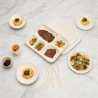 Vaisselle en bagasse, boîte alimentaire à emporter, boîte repas, assiette jetable, plateau alimentaire, contenant en canne à sucre