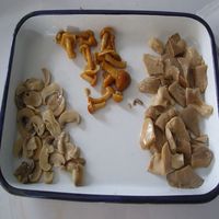 Assortiment de Champignons en Conserve de Qualité Supérieure, Variétés Mixtes, Présentés dans l'Eau, Champignons Comestibles Nutritifs, Légumes Conservés pour la Restauration