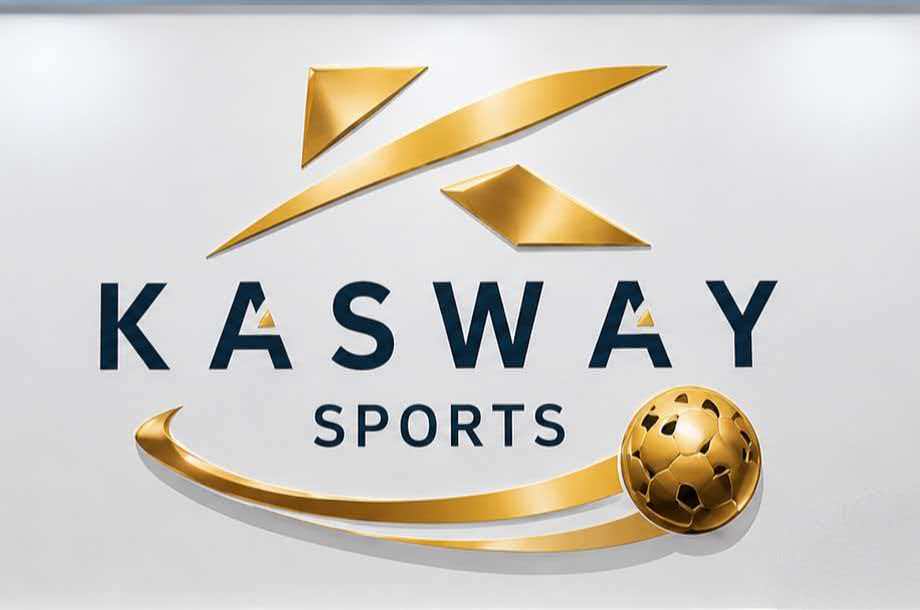 Suzhou Kasway Import & Export Co., Ltd. logo