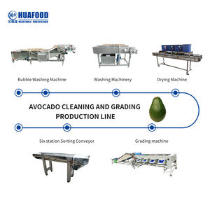 Avocado & Watermeloen Sortering Verpakking Assemblagelijn Automatische Fruit Gewicht Machine HFD058-S/W 220V/380V 1 Jaar Garantie - Product Image 4