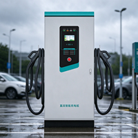 Chargeur rapide DC EV double prise, station de recharge Energy Park avec écran tactile LCD, lecteur de carte, IP54, installation en zone de stationnement