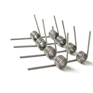 Molla di Torsione in Acciaio Inossidabile di Alta Precisione Personalizzata dal Produttore Tutti i Tipi di Molle all'Ingrosso - Product Image 4