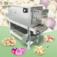 Équipement commercial électrique à chaîne pour l'épluchage de l'ail, des oignons et des fruits, avec vidéo
