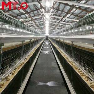 Jaula automática para cría de conejos, jaula para pollos de bebé, para poner huevos - Product Image 4