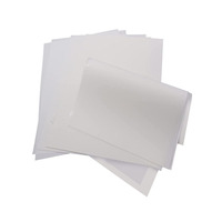 Feuilles PET imprimables Papier DTF A3 Plus A3+ 13 pouces 13\" X 19\" Film de transfert thermique PET DTF 13X19 pour Epson