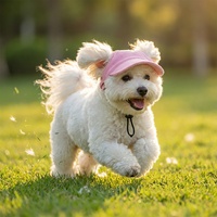 Casquettes de baseball réglables en velours côtelé anti-UV pour chiens et chats, chapeaux pour animaux de compagnie toutes saisons, fabricant en gros, chapeaux anti-UV pour chiens