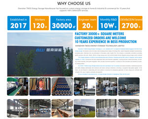 Système de stockage d'énergie solaire en conteneur à refroidissement liquide TNESS 261 kWh, système de stockage d'énergie <span class=keywords><strong>hybride</strong></span> industriel et commercial 125 kW - Product Image 3