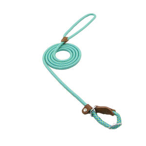 Tali kekang nilon awet dapat diatur, tali traksi hewan peliharaan warna ganda Slip anjing P tali timbal untuk anjing kecil sedang besar latihan luar ruangan - Product Image 6