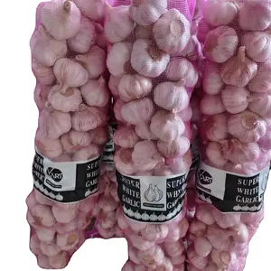 fresh red garlic supplier 5 to 6 cm size garlic price in saudi arabia fruit vegetable products garlic