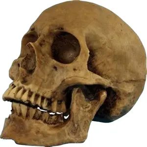 Hot Sale Resin Custom Halloween Skull