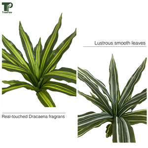 Arbre artificiel moderne Dracaena Fragrans pour l'intérieur Plantes d'intérieur en faux plastique Arbustes <span class=keywords><strong>dans</strong></span> des pots élégants pour la décoration de jardin - Product Image 5