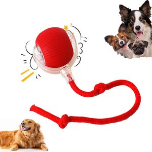 Jouet intelligent pour animaux de compagnie 360 °    Jouet interactif automatique pour chien et chat, rechargeable par USB, en ABS moderne, jouet roulant - Product Image 1