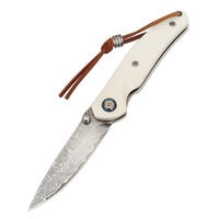 Draagbaar opvouwbaar kampeermes voor buitengebruik, hoge hardheid Damascus staal, gekarteld lemmet, handvat van runderbeen, 16,5 cm, fruitmes
