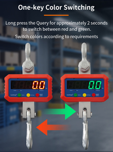 Móc 200kg LED <span class=keywords><strong>Crane</strong></span> hành lý 1000kg <span class=keywords><strong>OCS</strong></span> quy mô Công suất tính toán Trọng lượng với công nghiệp điện tử tấn kỹ thuật số treo quy mô - Product Image 4