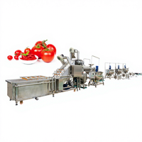 Kleine automatische tomatensaus/ketchup/pasta verwerkingsmixer, lage kosten, hoge efficiëntie, capaciteit 100-2000 kg/uur voor fruit en groenten