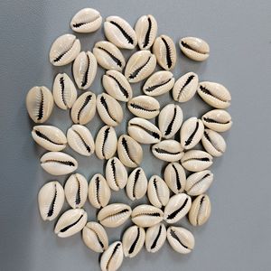 Vente <span class=keywords><strong>en</strong></span> gros de cauri doré taillé jaune artisanal fait à la main conque <span class=keywords><strong>escargot</strong></span> 2-2.5cm <span class=keywords><strong>en</strong></span> stock pour décorations de bijoux - Product Image 5