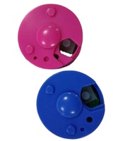 Module Enregistreur Vocal Miniature en Promotion pour Peluche Ours en Peluche avec Bouton Poussoir, Durée Personnalisable (30s) MP3/WAV