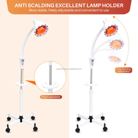 Lampe de thérapie par la lumière infrarouge près de la lampe chauffante infrarouge rouge pour soulager les douleurs articulaires douleurs musculaires lampe chauffante debout