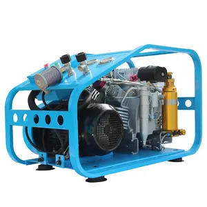 SCW250 300 бар 4500psi высокого давления для подводного плавания воздушный компрессор для продажи