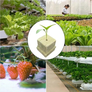 Cubos de Lana de Roca Hidropónica de 75*75*60mm, Buen Precio de Fábrica, Materiales Agrícolas para Cultivo de Plantas - Product Image 4