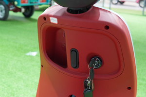มอเตอร์ไซค์สามล้อแบบเปิดประทุนพร้อมเบรกเท้าสำหรับผู้โดยสาร  แบบ E-Trike - Product Image 2