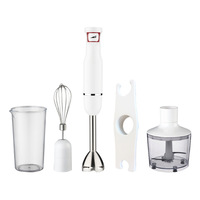 Mini mixeur plongeant sans fil professionnel RSC pour cuisine domestique, puissant et portable, avec fonction presse-agrumes, modèle HB024
