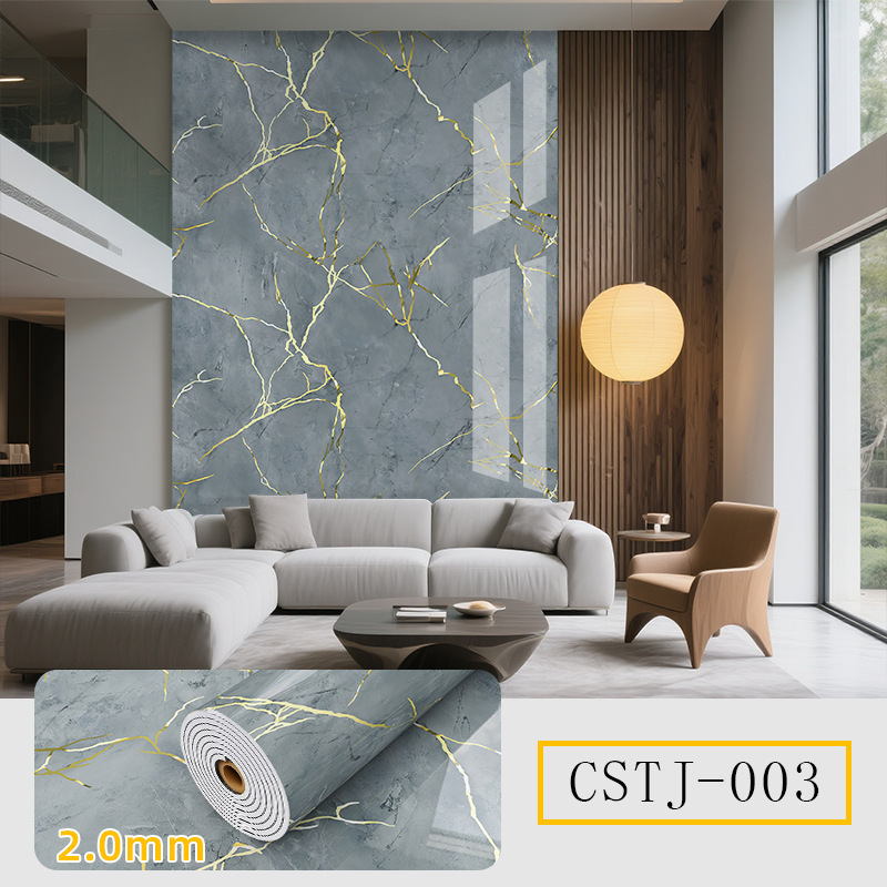 CSTJ003