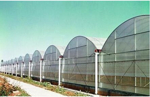 One, los invernaderos agrícolas grandes más vendidos de África, capas de película de PE PO simples o dobles para uso de plantas vegetales - Product Image 2