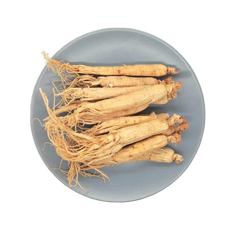 Factory price natural health products natural panax ginseng root