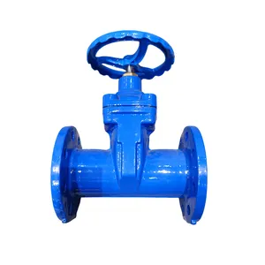 DIN3202 118KG GGG50 Din F5 Polyethylene Tail Resilient Seat Gate Valve Dn300