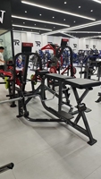Equipo de Gimnasio Comercial para Entrenamiento de Espalda y Pecho, de Acero Galvanizado, para Quemar Grasa, Seal Row para Profesionales