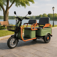 Tricycle électrique à trois roues 60V 25AH NEUF 1000W Capacité de charge 120kg Vente en gros pour marché agricole Exportation Pilote adulte
