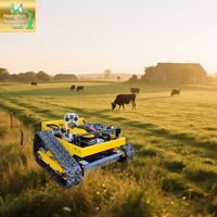 Le plus récent robot de nettoyage des mauvaises herbes à moteur à essence à haute efficacité