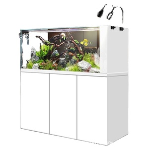 Nuevo Pecera de Escritorio para Exteriores, Pequeña, de Lujo Ligero, con Filtro Inferior, Cristal Ultra Blanco, Ecológica, para Peces Dorados, Sin Agua - Product Image 2