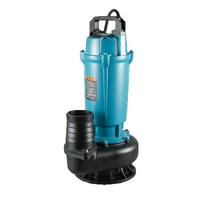 Pompe de vidange submersible QDX avec interrupteur à flotteur, pompe automatique pour eau claire, idéale pour le drainage des sous-sols, caves et piscines