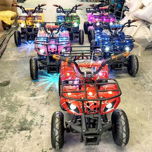 Mini Quad Elettrico per Bambini, Buggy da Spiaggia in Metallo con Motore da 350W per Parchi Divertimento all'Aperto - Product Image 5