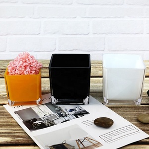 Commercio all'ingrosso grande vetro chiaro cubo vaso di colore personalizzato Design moderno arredamento per la casa di nozze quadrato fiore e pianta vaso - Product Image 6