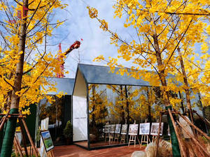 豪华预制模块化家居钢移动欧式镜面玻璃阳光容器三角屋别墅出售。 - Product Image 5