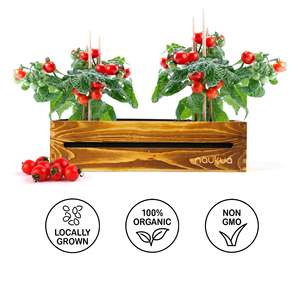 Urban Leaf Indoor Herb Garden Starter Kit con maceta de madera para uso doméstico o al aire libre incluye plántulas de tomate cherry - Product Image 6