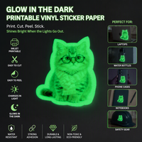 Papier autocollant en vinyle PET lumineux A4 qui brille dans le noir, film auto-adhésif pour étiquettes personnalisées, décalcomanies, artisanat, emballage et présentation