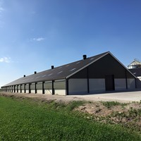 Structure en acier durable pour l'élevage de volailles, bâtiment polyvalent pour poulaillers/abris à poulets pour fermes