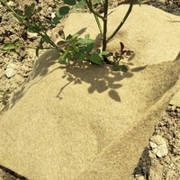 Tissu non tissé en fibre de jute biodégradable à haute rétention d'eau