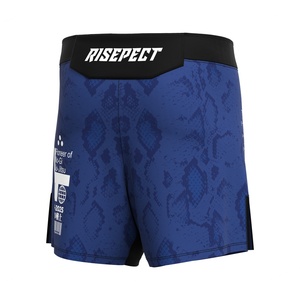 Shorts MMA BJJ de qualité professionnelle avec fentes latérales, tissu durable et à séchage rapide pour l'entraînement et le sparring - Product Image 3