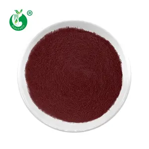 Großhandel OEM Cas 874807-57-5 Lebensmittel farbe Roter Hefe-Reis-Extrakt Monascus Red Powder