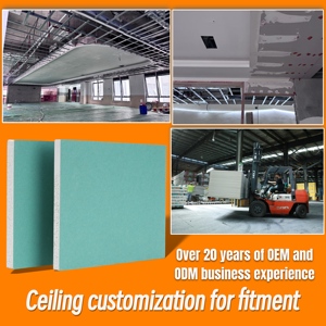 Chất lượng cao phổ biến tấm thạch cao/Nội thất Panel tường thạch cao vách thạch cao thạch cao tự nhiên - Product Image 5