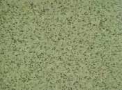 Verde Fruta