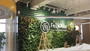 Système de mur végétal modulaire Living Modular Green Wall : une grille de plantation verticale préfabriquée en matériau recyclé stabilisé aux UV - Product Image 5