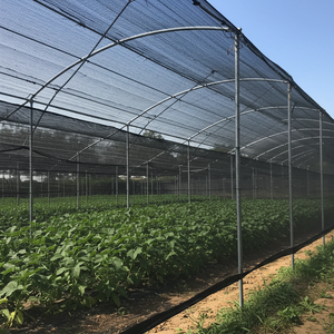 Filet <span class=keywords><strong>d</strong></span>'<span class=keywords><strong>ombrage</strong></span> agricole pour <span class=keywords><strong>serre</strong></span>, filet de protection solaire pour ferme, filet de protection pour maison, filet de protection pour l'agriculture, 50%, 30%, 40% - Product Image 4