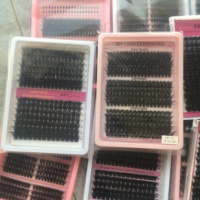Extensions de cils en éventail pré-faites 5D en gros, cils en éventail fermés, pointes, pleine floraison, cils en volume 5D
